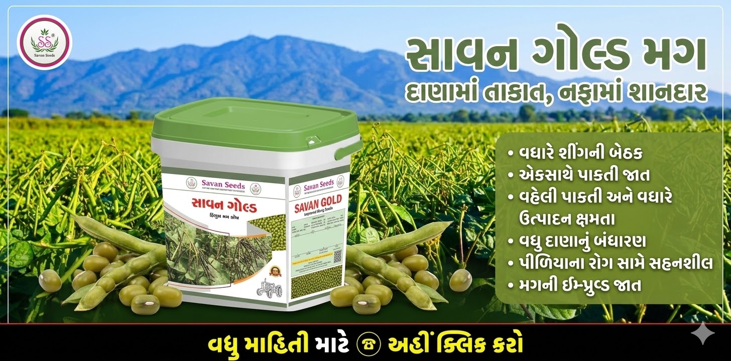 મગ બિયારણ, સાવન