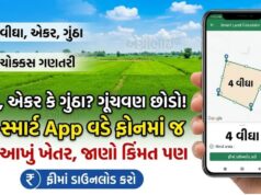 વીઘા, એકર કે ગુંઠા? ગૂંચવણ છોડો! આ સ્માર્ટ App વડે ફોનમાં જ માપો આખું ખેતર, જાણો કિંમત પણ