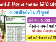 પીએમ કિસાન યોજના: હપ્તો ચેક કરવાની રીત, લાભાર્થી યાદી અને હેલ્પલાઇન નંબરની સંપૂર્ણ માહિતી