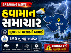 વેસ્ટર્ન ડિસ્ટર્બન્સની અસર : ગુજરાત સહિત દેશના વિવિધ રાજ્યોમાં ગાજવીજ સાથે વરસાદની આગાહી