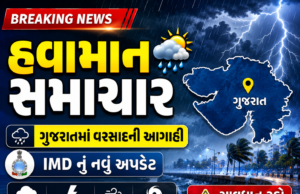 હવામાન વિભાગે આ જિલ્લાઓ માટે એલર્ટ જાહેર કર્યું, જુઓ વરસાદી માહોલ