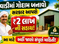 ખેડૂતો માટે મોટા સમાચાર: વાડીમાં ગોદામ બનાવવા સરકાર આપશે ₹2 લાખની સહાય!