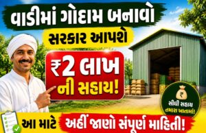 ખેડૂતો માટે મોટા સમાચાર: વાડીમાં ગોદામ બનાવવા સરકાર આપશે ₹2 લાખની સહાય!