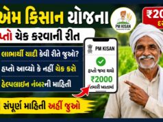 પીએમ કિસાન યોજના: હપ્તો ચેક કરવાની રીત, લાભાર્થી યાદી અને હેલ્પલાઇન નંબરની સંપૂર્ણ માહિતી