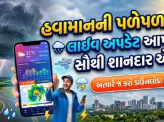 હવામાનની પળેપળની લાઈવ અપડેટ આપતી સૌથી શાનદાર એપ, અત્યારે જ કરો ડાઉનલોડ!