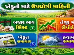 ખેડૂતો માટે એક જ જગ્યાએ મેળવો બજાર ભાવ, તેજી-મંદી, ખેડૂત સમાચાર અને હવામાનની માહિતી