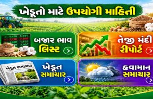ખેડૂતો માટે એક જ જગ્યાએ મેળવો બજાર ભાવ, તેજી-મંદી, ખેડૂત સમાચાર અને હવામાનની માહિતી