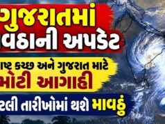 હવામાન પળેપળની અપડેટ : ગુજરાતના તમામ 33 જિલ્લાની આગાહી અને લાઈવ રિપોર્ટ