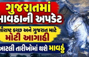 હવામાન પળેપળની અપડેટ : ગુજરાતના તમામ 33 જિલ્લાની આગાહી અને લાઈવ રિપોર્ટ